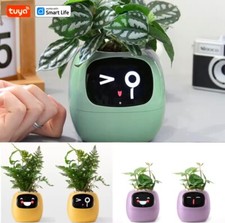 Smart vaso AI Chip Interattivo