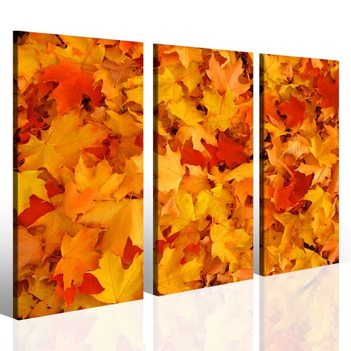 Quadro autunno colors - autunno,