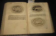 1594 Scipione Bargagli  Dell'