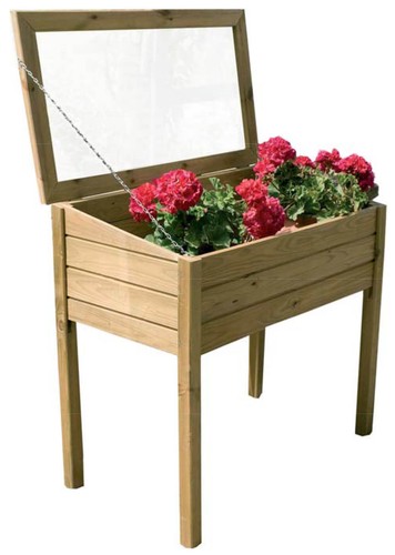 Serra per sementi con - serra,