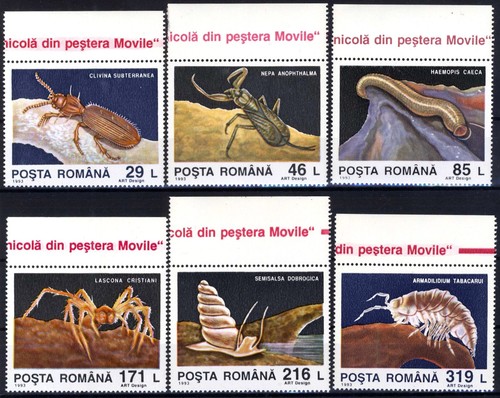 Romania 1993 vita sotterranea - 1993,