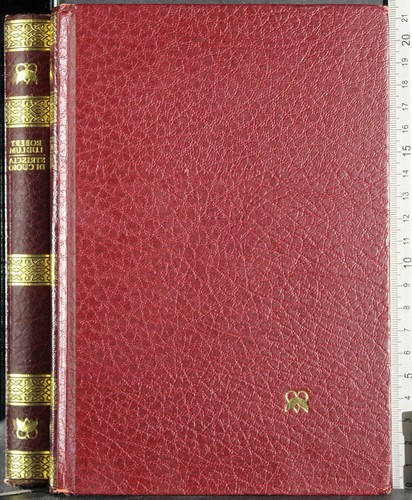 Striscia cuoio robert - striscia,