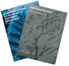 Two Books on FOSSIL PLANTS