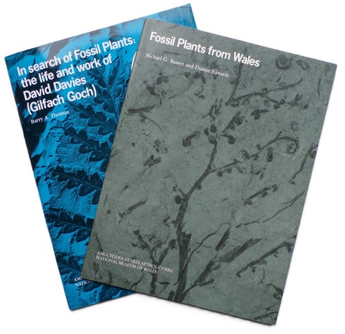 Two books fossil plants - books,
