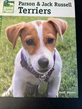 Parson jack russell - parson, &