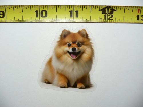 Adesivo piccolo cane - piccolo,