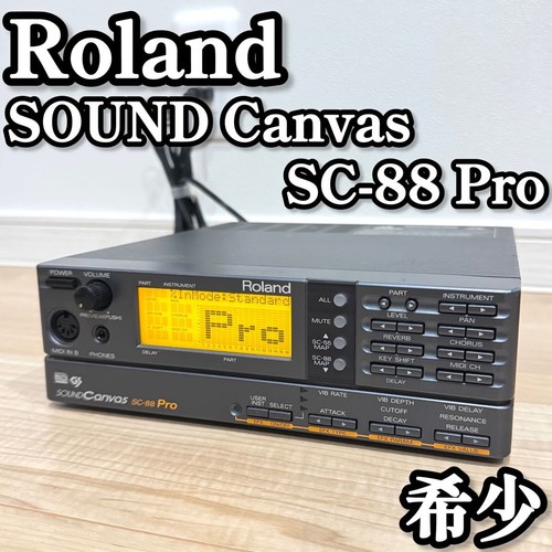Raro roland sound - [raro], canvas