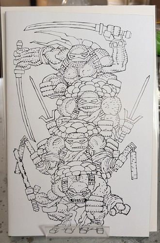 Teenage mutant ninja turtles - teenage,