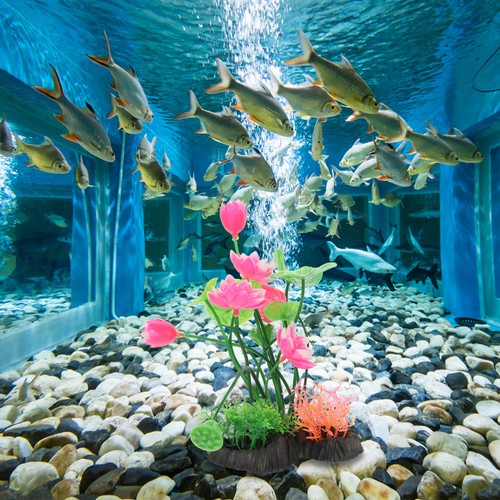 Piante acquario finte - piante,