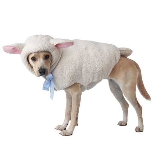Costume cane pecora - da,