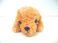 Barboncino TSTADVANCE Little