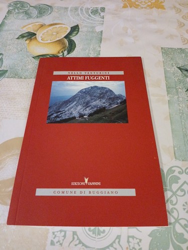 Nello venturini attimi - nello,