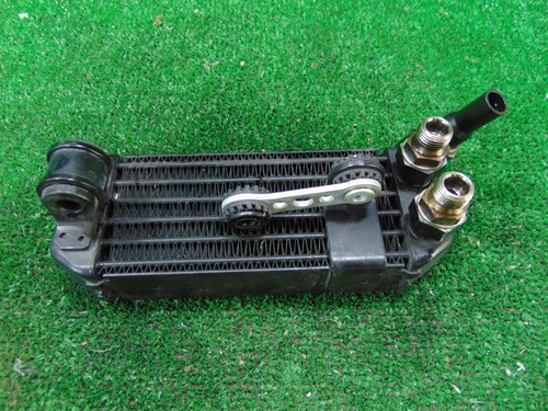 Radiatore olio ducati - radiatore,
