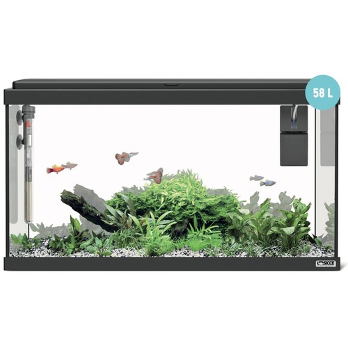 Sicce moby dick nero - moby, 60