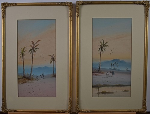 Sahara oasis con cammelli - oasis,