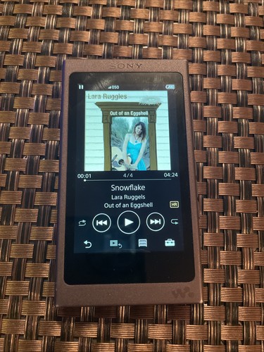 Sony a45 lettore audio - lettore,