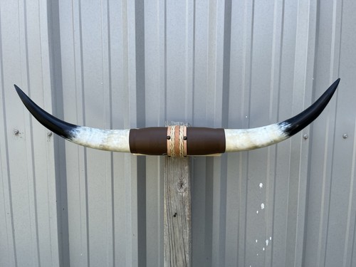Corna manzo montata 34 - corna,