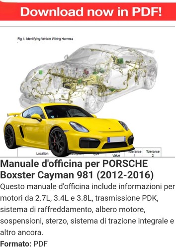 Manuale officina porsche - manuale,