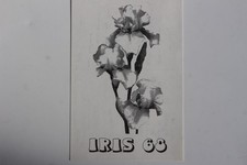 Cartolina QSL Radioamatoriale