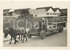 1938 MILANO TRASPORTI Cavalli trainano autobus verso la demolizione *Foto