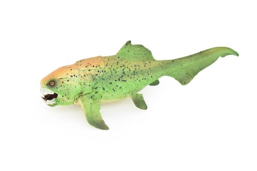 Dunkleosteus dinosauro pesce - dunkleosteus,,