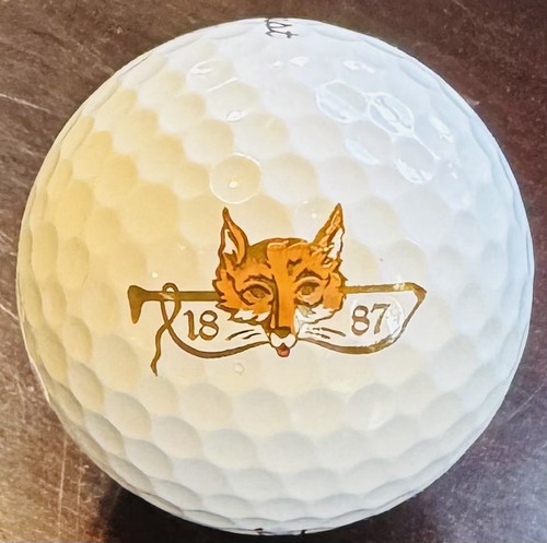 Pallina golf con - con, logo