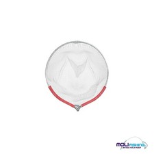 TESTA GUADINO TONDA IN