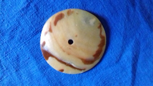 Madreperla australiana - madreperla,