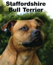 Staffordshire Bull Terrier -