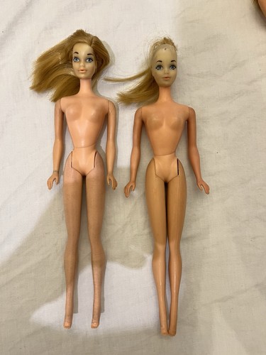 Lotto barbie standard steffie - barbie,