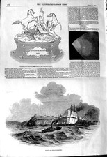 Vecchia Stampa Antica