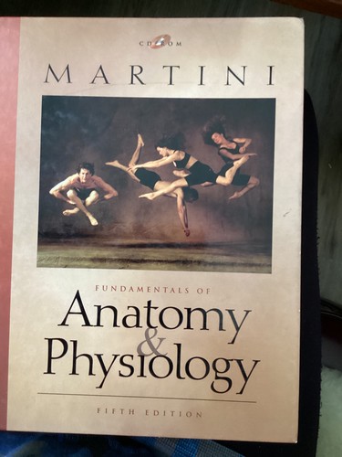 Fundamentals anatomy - fundamentals, od