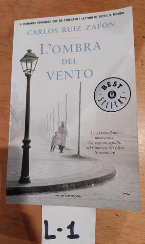 Libro romanzo ombra del - l'ombra,