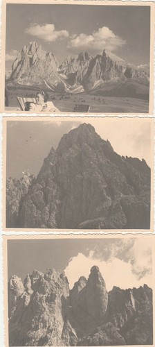 Fotografie vintage - 7,