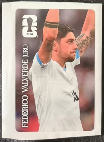 Panini fifa world cup - panini,,