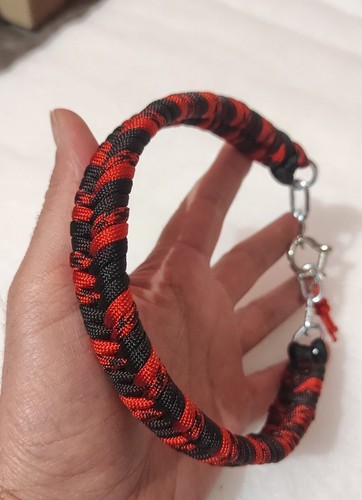 Collare cane paracord - collare,