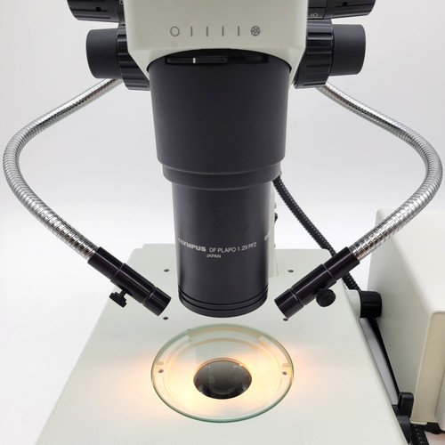 Schott stereo microscopio - stereo,