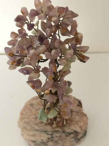 Splendido albero della - vita, in