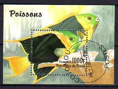 Pesci benin blocco - benin,