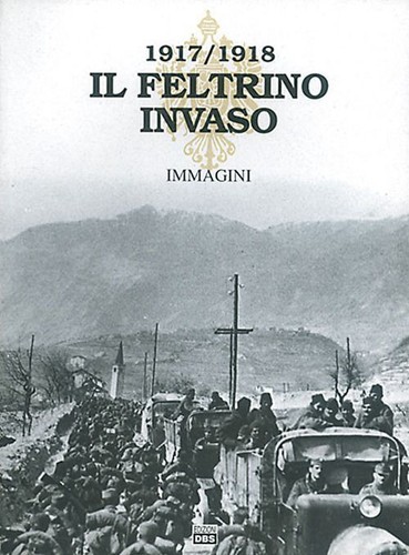 Libri feltrino invaso - libri,