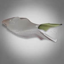 DR223 MV Agusta F3 675 800cc