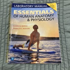 Essentials of Human Anatomy