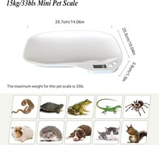 Bilancia Pesatrice Digitale