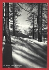 CARTOLINA VG ITALIA - Le