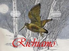 CD Richiami MP3 per allodole