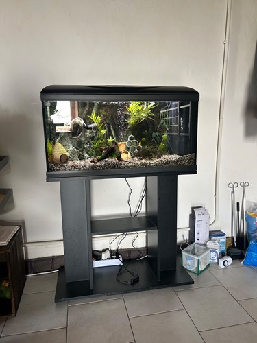 Acquario capienza litri - capienza, 90