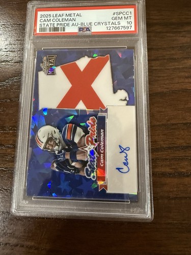 2025 leaf metal - 2025, cam