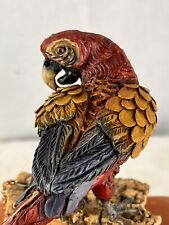 Pappagallo L’ara Animale Da Presepe Parrot Scena Orientali Eastern 11,5 Cm