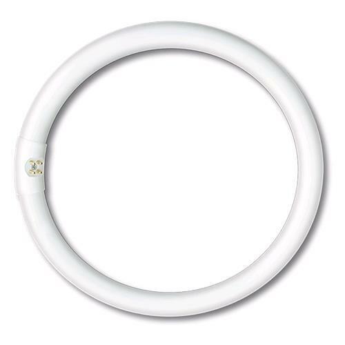 Neon circolare trifosfori - neon,