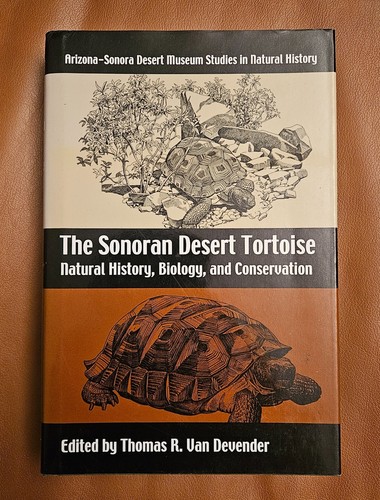 The sonoran desert - sonoran,